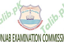 Grade 5 Result 2026 All Punjab District Wise
