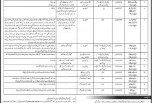 Immigration And Passport Jobs 2026 OTS Application Form, Eligibility, Test Date