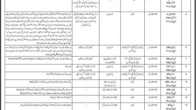 Immigration And Passport Jobs 2026 OTS Application Form, Eligibility, Test Date