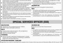 Pakistan International Airline Jobs 2026 PIA Jobs Application Form, Last Date
