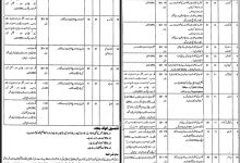 Social Welfare And Bait-Ul-Maal Punjab Jobs 2026 Application Form Last Date