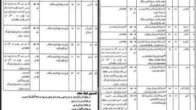 Social Welfare And Bait-Ul-Maal Punjab Jobs 2026 Application Form Last Date