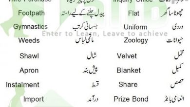 common english words used in daily life with urdu meaning