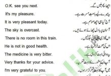daily use english sentences with urdu translation