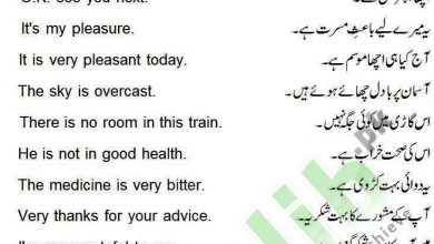 Daily Use English Sentences With Urdu Translation 20 daily use english sentences with urdu translation