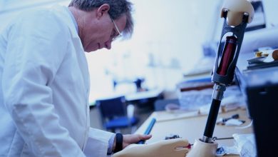 Biomedical Engineering Universities In Pakistan Colleges
