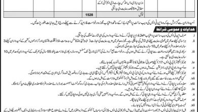 IESCO Jobs 2026 Application Form July Advertisement