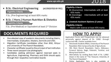 University Of Poonch Rawalakot UPR Admissions 2026-2019 Online Form, Last Date