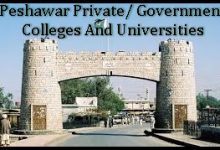 Peshawar Private/ Government Colleges And Universities List