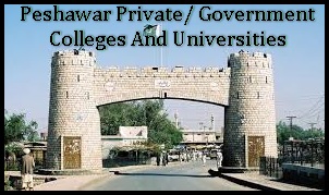 Peshawar Private/ Government Colleges And Universities List