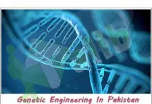 Genetic Engineering In Pakistan 19 Genetic Engineering In Pakistan Scope, Subjects, Career, Jobs, Salary