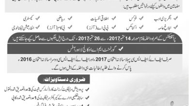 Govt MAO College Admissions 2017 BS Application Form Last Date