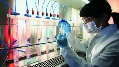 Universities Offering Biotechnology In Pakistan Colleges