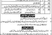 Punjab Police Constable, Lady Constable Jobs 2026 Application Form, Last Date