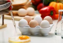 Food Science And Technology Scope, Salary, Jobs in Pakistan
