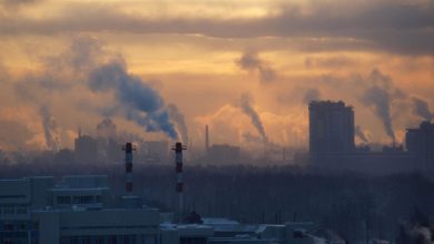 Global Warming Impact on Climate Change Essay
