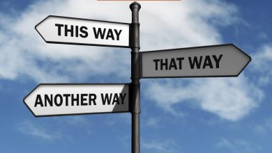 What To Do After O Levels In Pakistan Field Options
