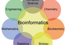 Bioinformatics Scope In Pakistan Jobs, Salary, Subjects, Universities