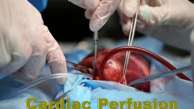 Cardiac Perfusion In Pakistan Scope, Jobs, Salary, Subjects, Universities