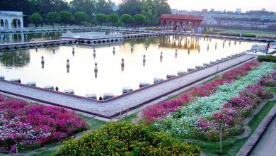A Visit to Shalimar Garden Essay in English