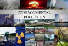 Causes and Effects of Pollution on Environment Essay