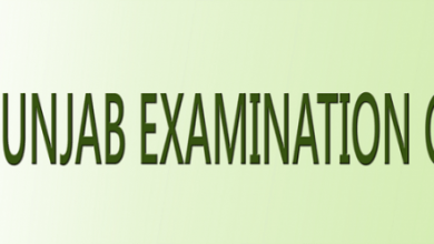 Okara Board 5th Class Result 2026