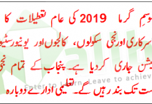 Punjab Summer Holidays Dates 2026 In Private Public Schools