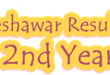 Peshawar Board 2nd Year Result 2026 4 Peshawar Board 2nd Year Result 2026
