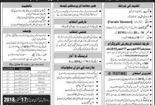Join Pakistan Navy As Female Steward (Sailor) 2026 Online Registration Form, Last Date