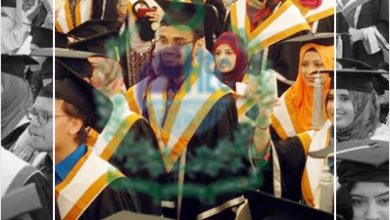 How To Verify Degree From HEC Online Degree Attestation Eportal