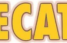 ECAT Preparation Institutes In Karachi