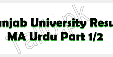 Punjab University MA Urdu Result 2026
