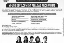 Young Development Fellows Program 2026 Apply Online Jobs Application Form