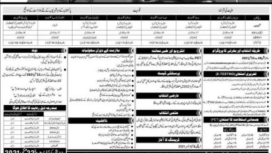 Sailor Jobs In Pakistan Navy 2026