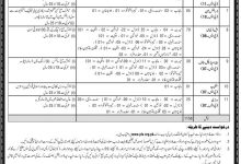 Junior Patrol Officer Test Preparation Sample Paper 2026 PDF Download