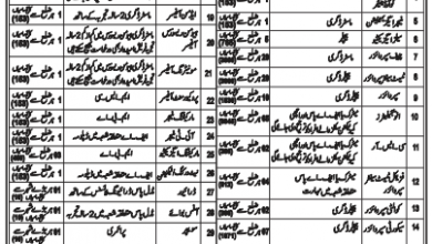 Success Testing Services Test Result 2026 STS Answer Keys