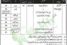Election Commission Of Pakistan Jobs 2026 Advertisement