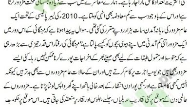 Labour Day Speech In Urdu 13 Labour Day Speech In Urdu