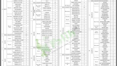 Sindh Lady Health Workers LHW Program 2026 10 Sindh Lady Health Workers LHW Program 2026 Application Form, Salary