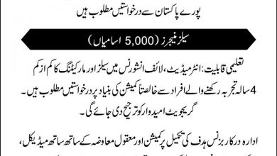 State Life Insurance Jobs 2026 Apply Online Last Date