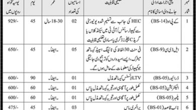 Ministry Of Religious Affairs Jobs 2026 MORA Application Form Last Date