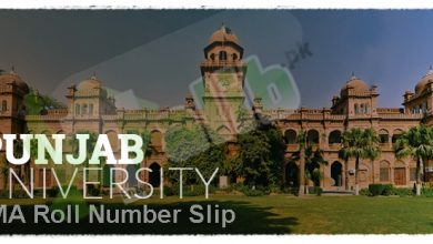 Punjab University Ma Roll No Slip 2026