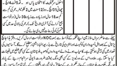 Balochistan Levies Force Jobs 2026 In Quetta Application Form Last Date For Sipahi