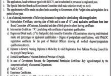 Sheikh Zayed Hospital RYK Jobs 2026 Application Form Last Date