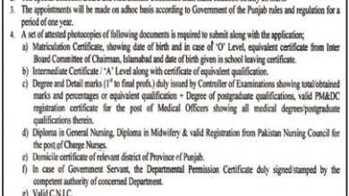 Sheikh Zayed Hospital RYK Jobs 2026 Application Form Last Date