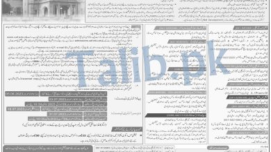 UAF Undergraduate Admissions 2026 9 UAF Undergraduate Admissions 2026