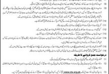 FESCO Jobs August 2026 ALM Application Form Advertisement Assistant Lineman