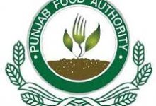 Punjab Food Authority Test Date 2026 NTS Roll No Slips, Syllabus