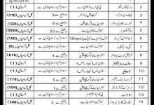ITS Jobs Advertisement 2026 September October 7800 posts