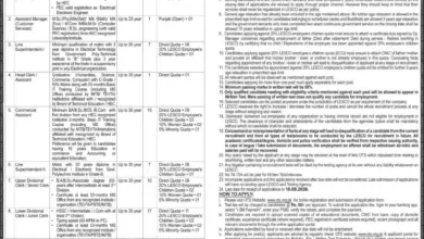 LESCO Jobs 2026 Apply Online – Lahore Electric Supply Company Contract Jobs 38 Job